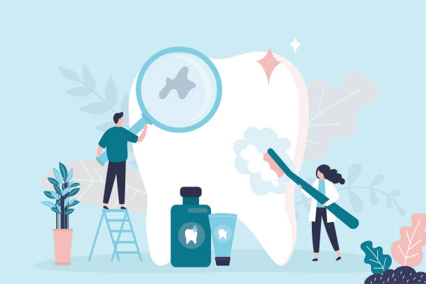 Best General Dentistry  in Hudson, FL